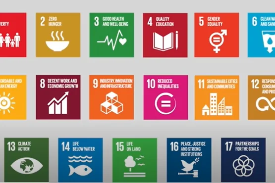 Jordan's Pathway Towards Sustainability: Implementing the Sustainable Development Goals (SDGs)
