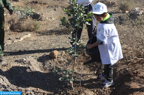 موريتانيا .. نحو إنشاء ” مدارس خضراء”