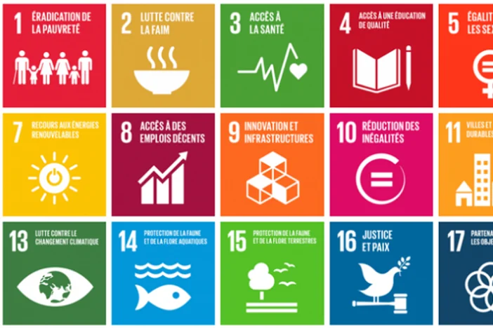 Tunisia And The 2030 Sustainable Development Goals (SDGS 2030)