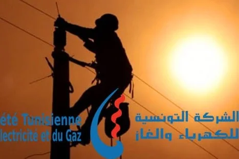 الشركة التونسية للكهرباء والغاز تتوج بالجائزة الفضيّة لاجل برامجها للاستدامة