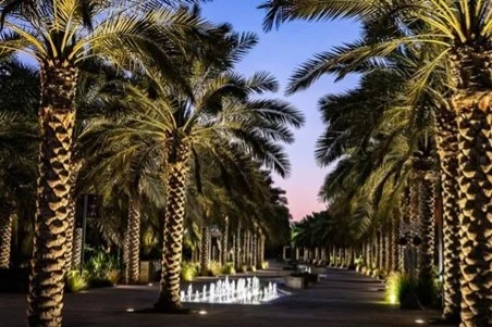 حديقة أم الإمارات تطلق مبادرة الجدار الأخضر احتفالاً باليوم العالمي للبيئة